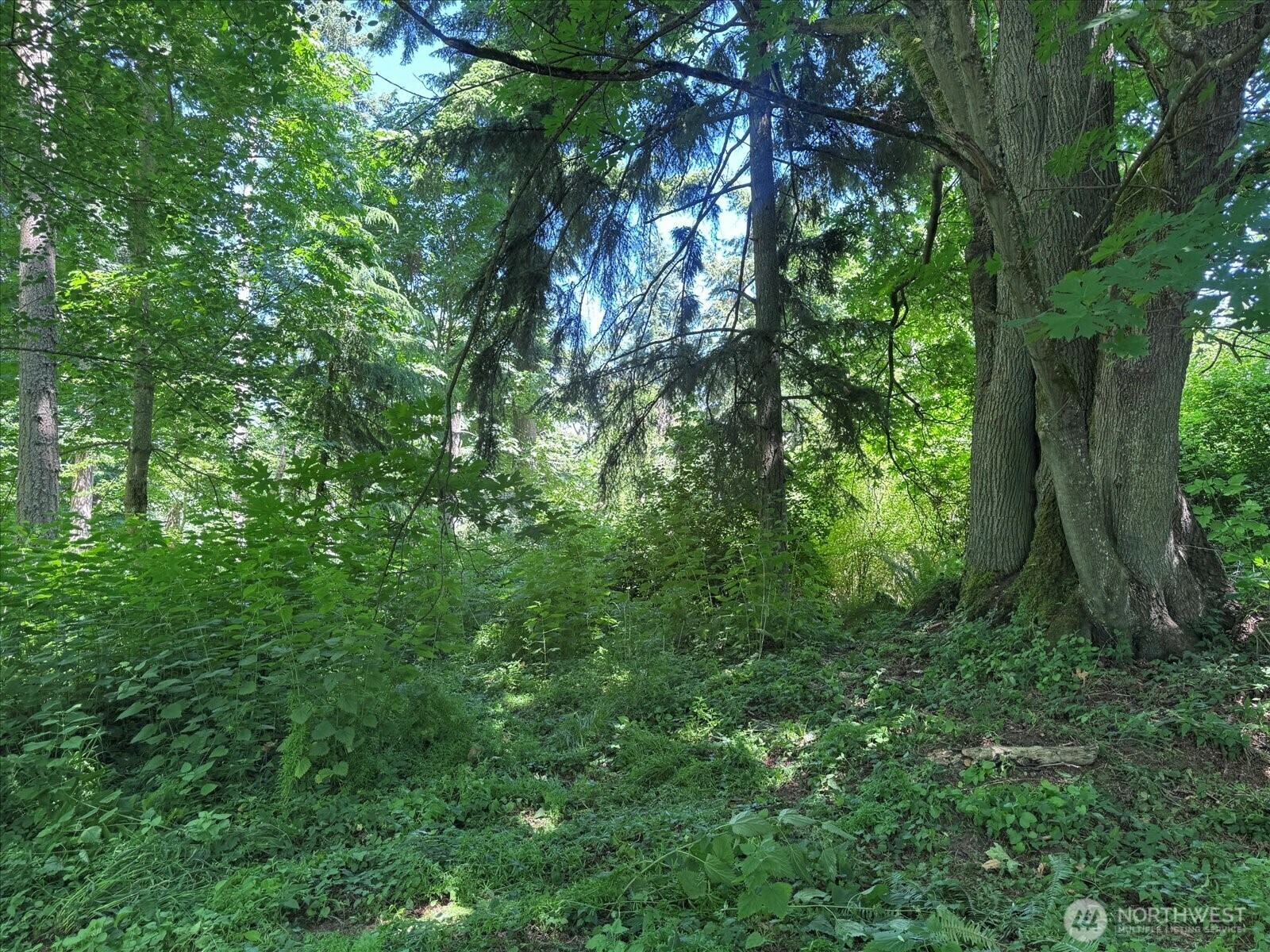 Property Photo: 0 Xxx Izzy Lane WA 98236