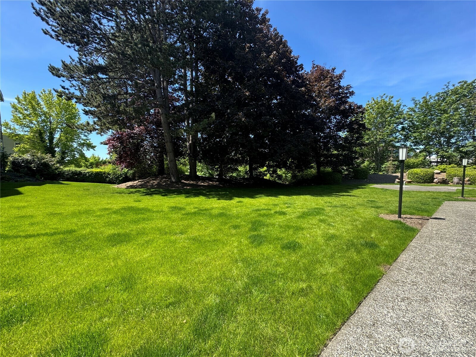 Property Photo:  150 NE 95th Street 205  WA 98115 
