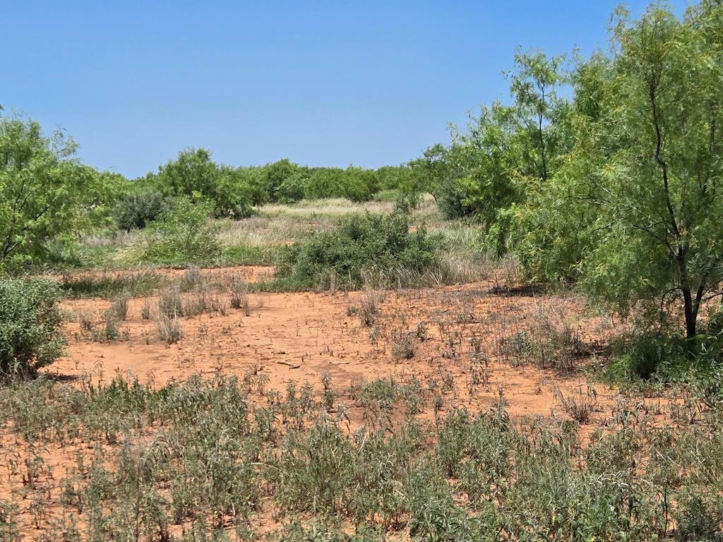 Property Photo: - Hwy 277N TX 76933