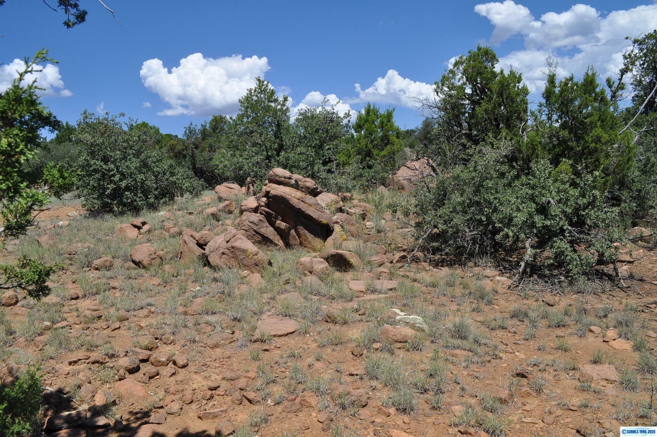 Property Photo: 3504 Pinos Altos Road NM 88061