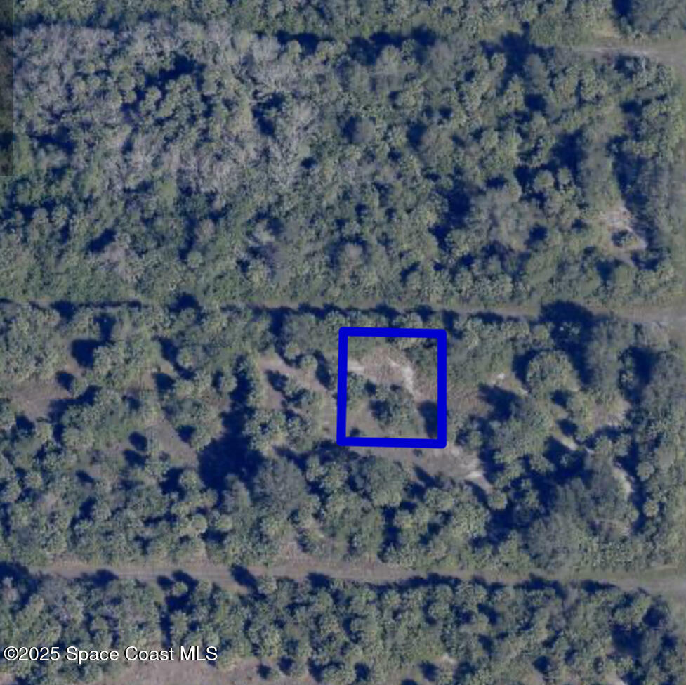 Property Photo: 718 Burgess Street FL 32908