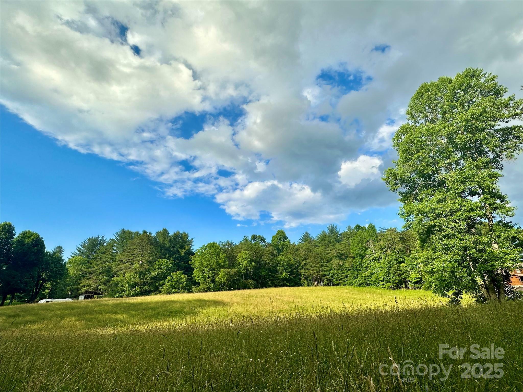 Property Photo: 99999 Jenkins Valley Road NC 28701