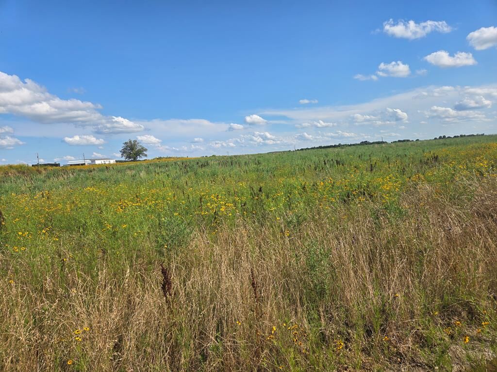 Property Photo:  3605/ Russell Cementary  AR 72331 