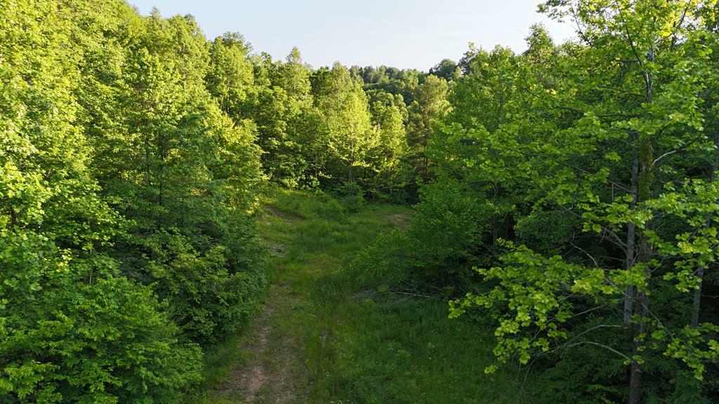 Property Photo:  0 Calico Fork Rd  KY 41230 