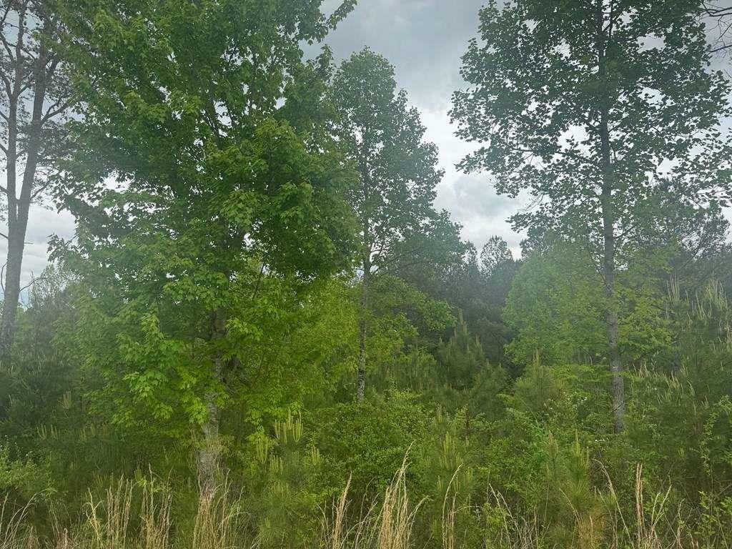 Property Photo: L231 Ridge Point Way GA 30512