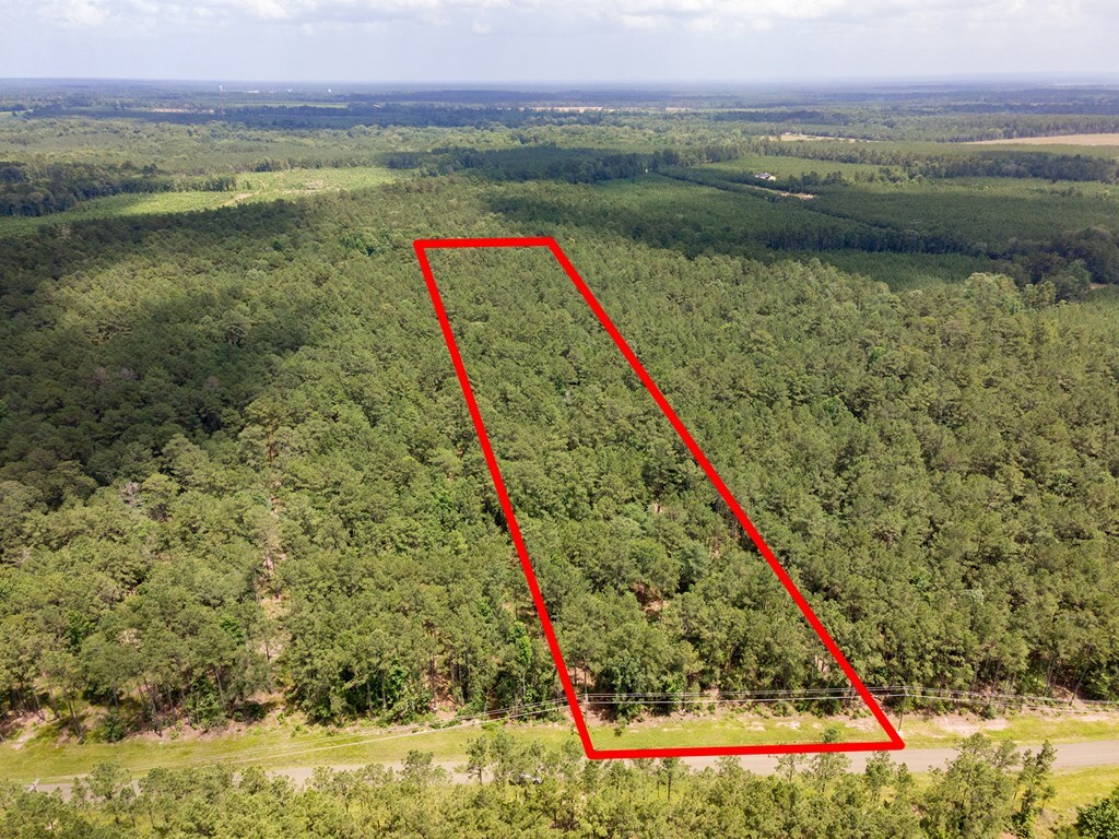 Property Photo:  Lot 29 Eagles Nest  TX 75929 