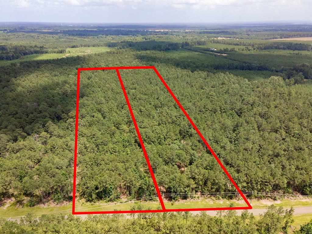 Lot 29 &Amp Lot 30 Eagles Nest  Broaddus TX 75929 photo