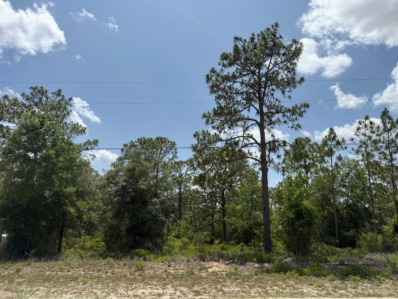 Property Photo: SW 167th Avenue FL 34481