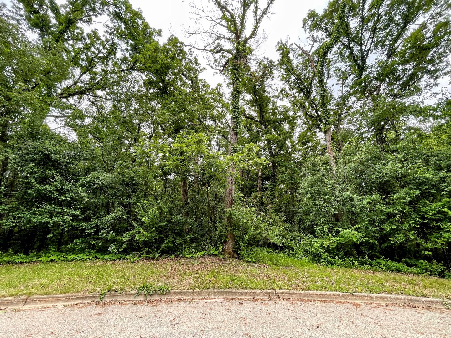 Property Photo: 7407 Forest Oak Drive IL 60050