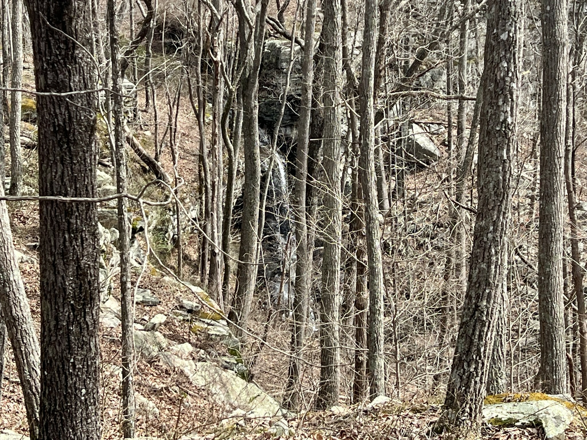 Property Photo: 4441 Deer Run Road TN 37301