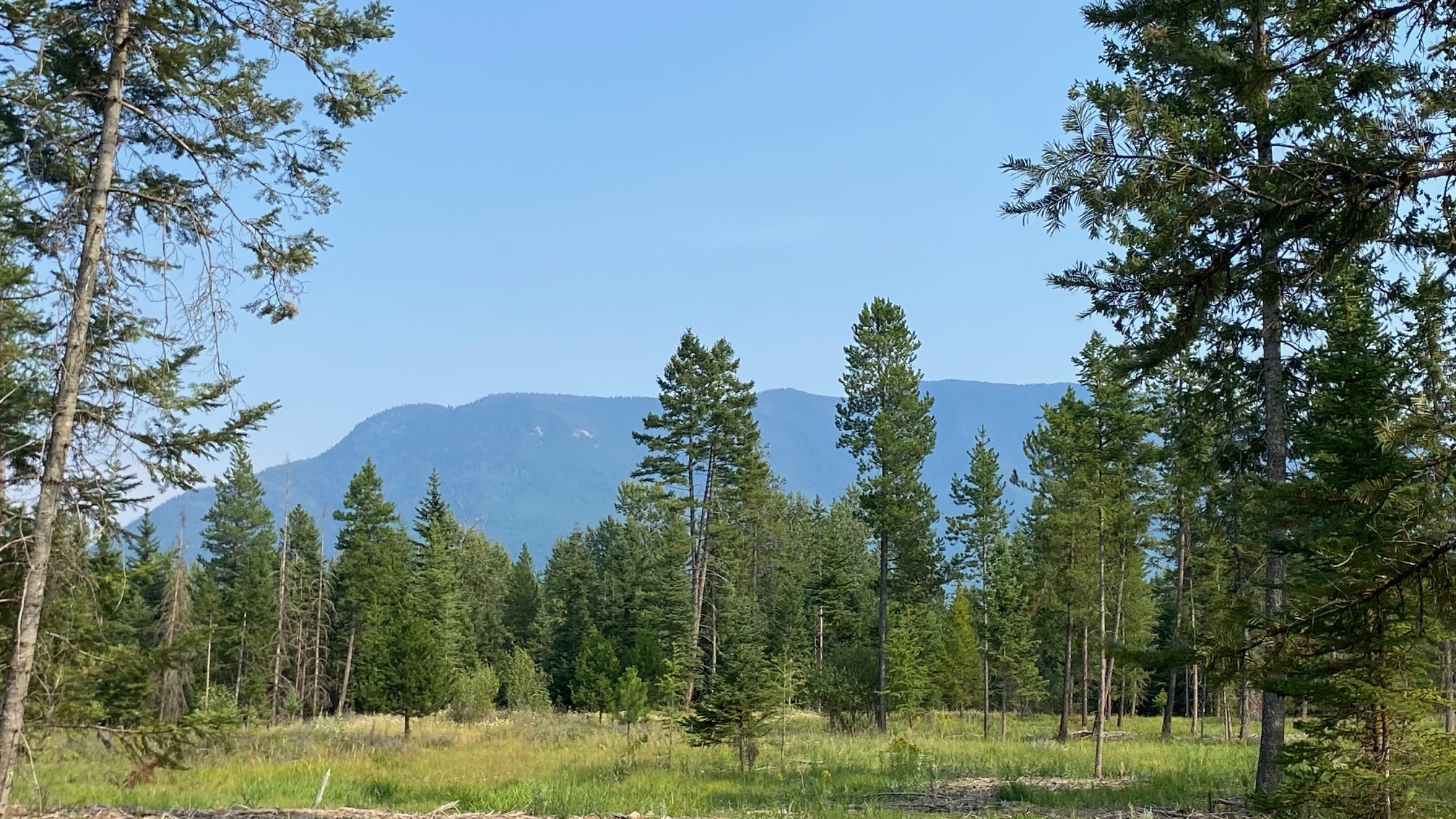 Property Photo: 1068 Larch Ridge Trail MT 59912