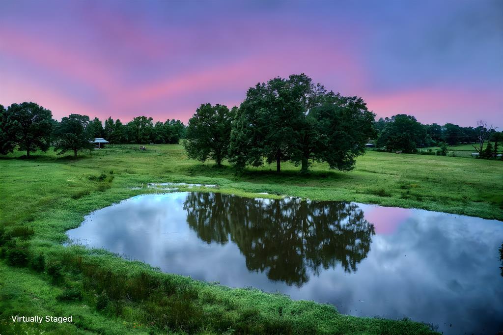 Property Photo:  470 County Road 4930  TX 75783 