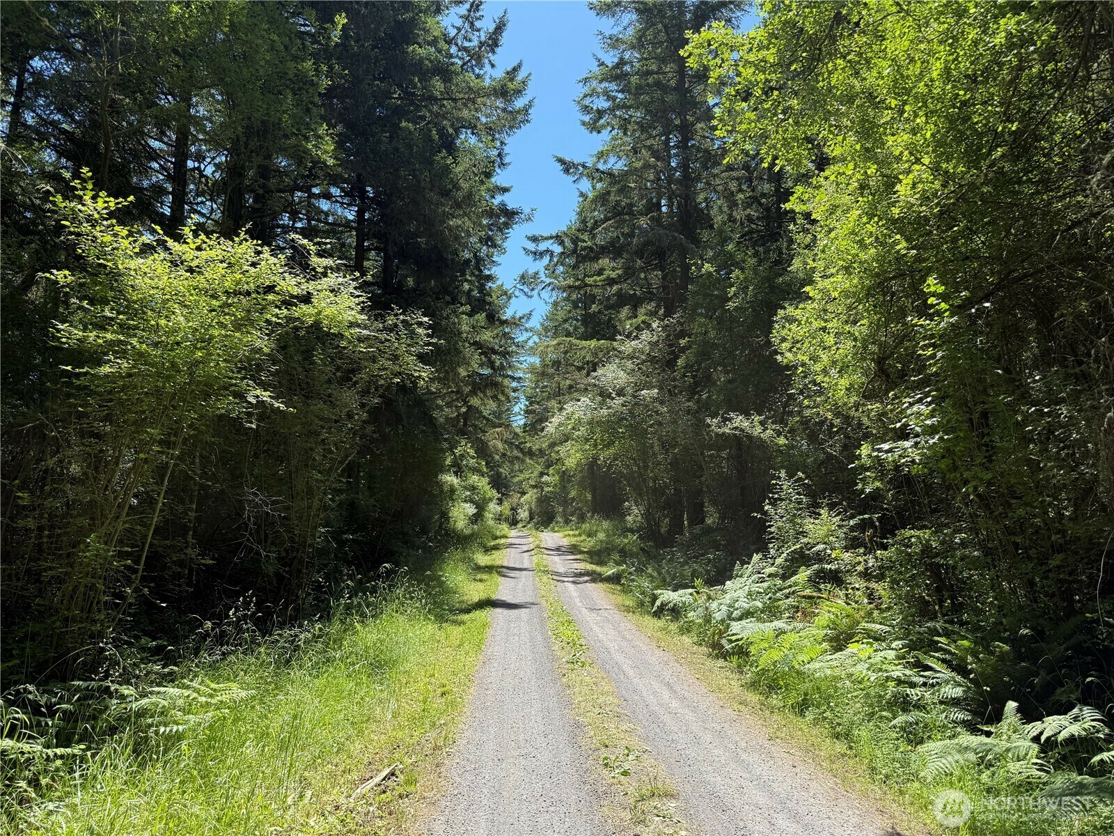 Property Photo: 0 Thimbleberry Lane WA 98250