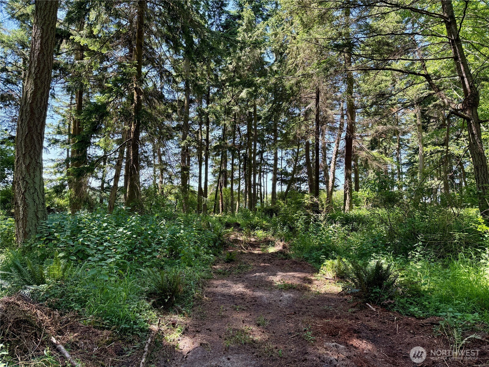 Property Photo: 0 Xxx State Route 20 WA 98239