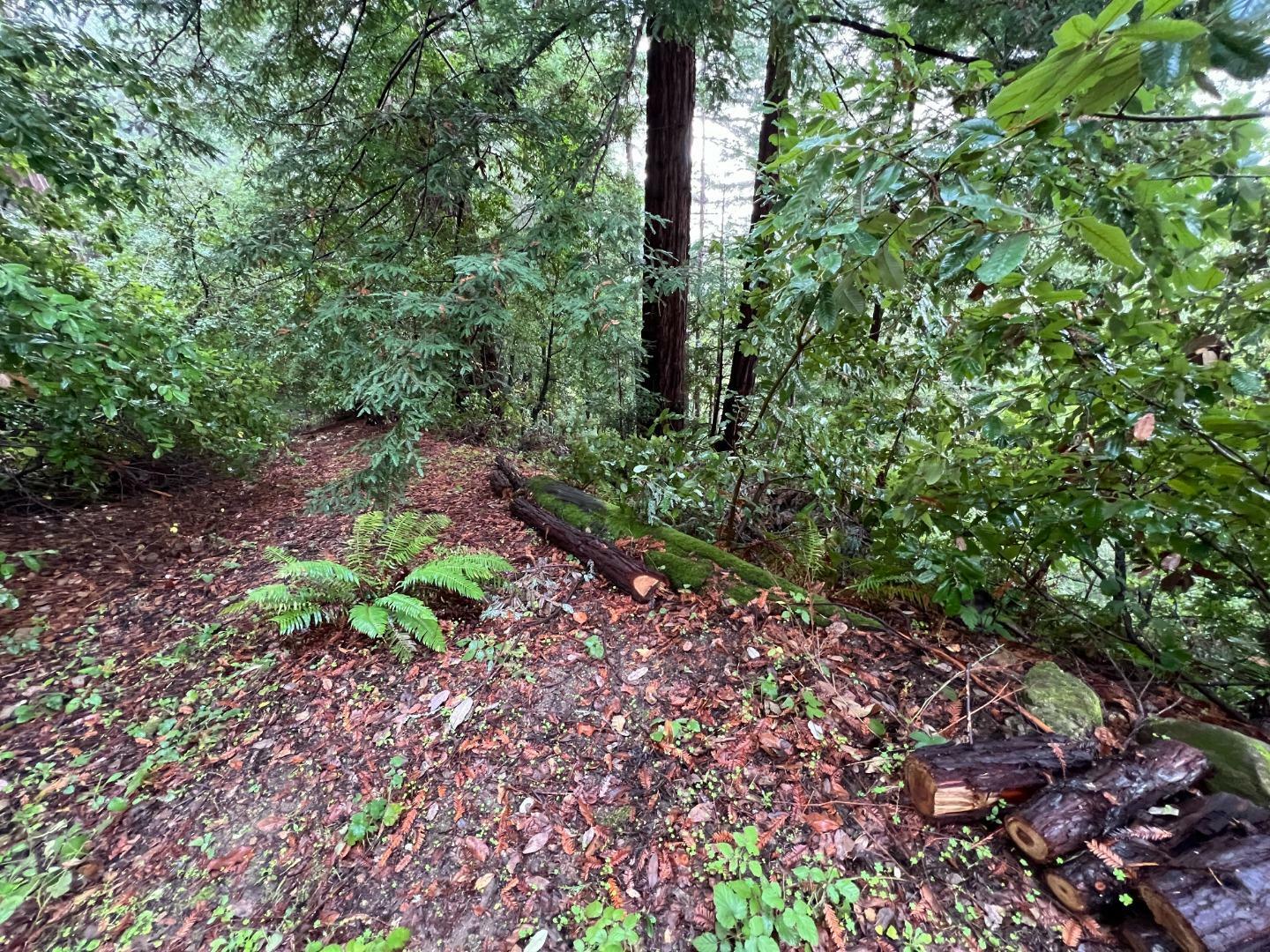 Property Photo: 0 Deer Trail Way CA 95066