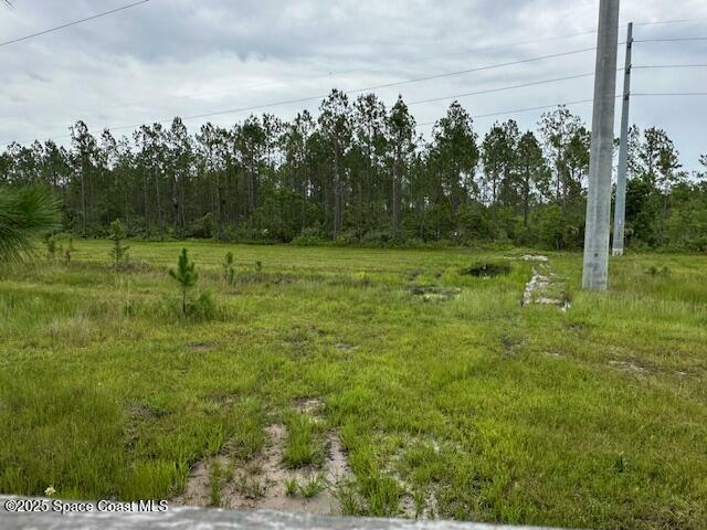 0000 D Johnson  Mims FL 32754 photo