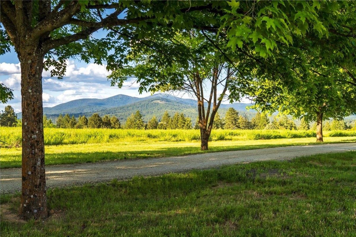 Property Photo: 10621 E Day Mt Spokane Rd (North &Amp South Parcels Combined WA 99021