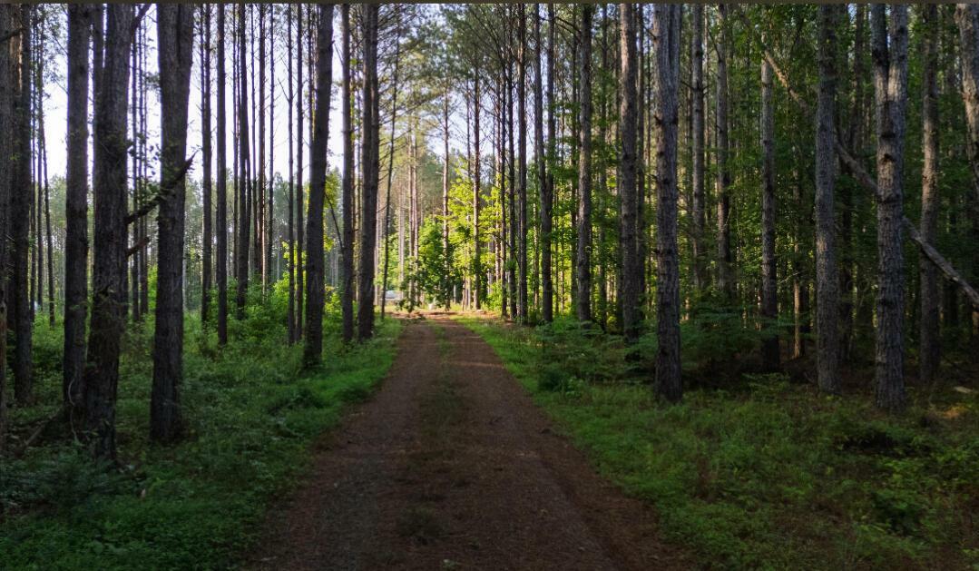 Property Photo: 1197 2 Hill Rd AL 35578