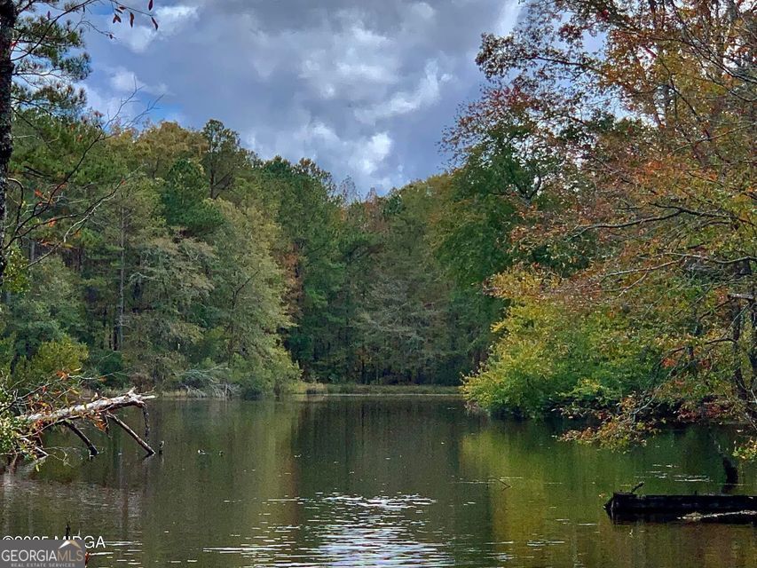 Property Photo: 193 Griswoldville Shortcut GA 31217