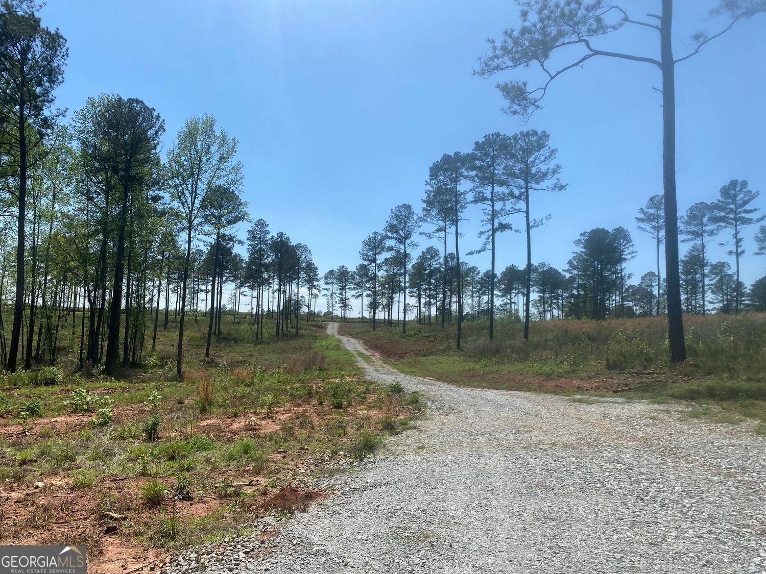 Property Photo: Lot 3 Giles Road GA 31029