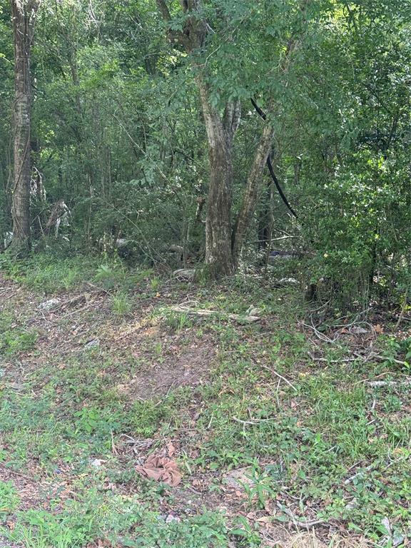 Property Photo: 245 County Road 3707 TX 77372