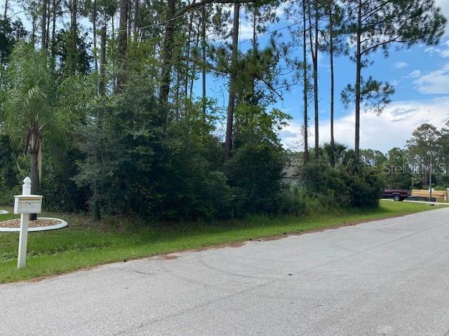 Property Photo: 35 Ramblewood Drive FL 32164