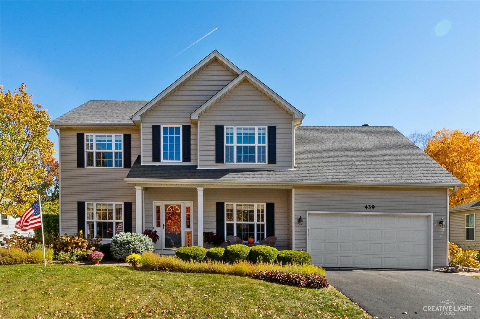 Property Photo:  439 Camden Circle  IL 60543 