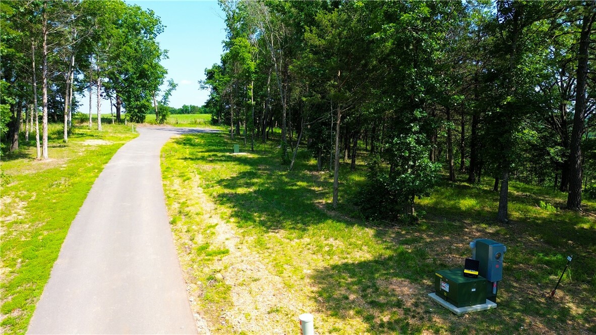 Tbd County Road 3272  Berryville AR 72616 photo