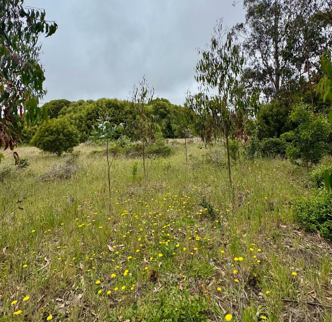 Property Photo: 00 Bonita CA 94019