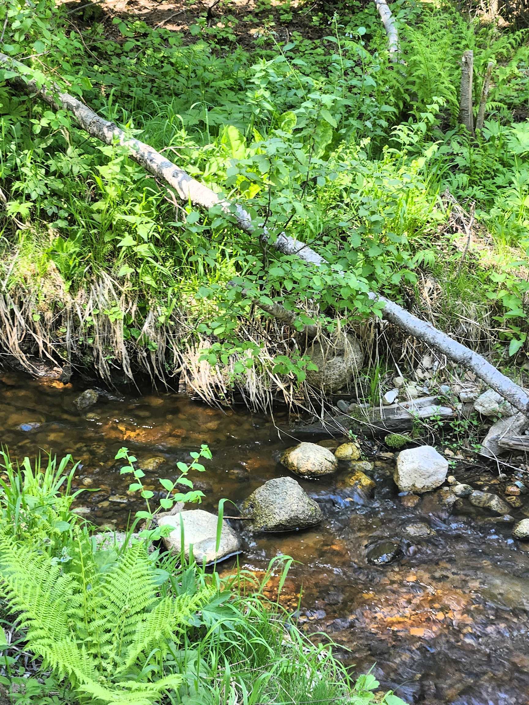 Property Photo: 7450 Ruby Creek Rd WA 99119