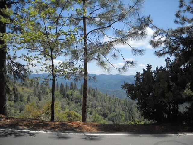 1202 Heather Drive  Murphys CA 95247 photo