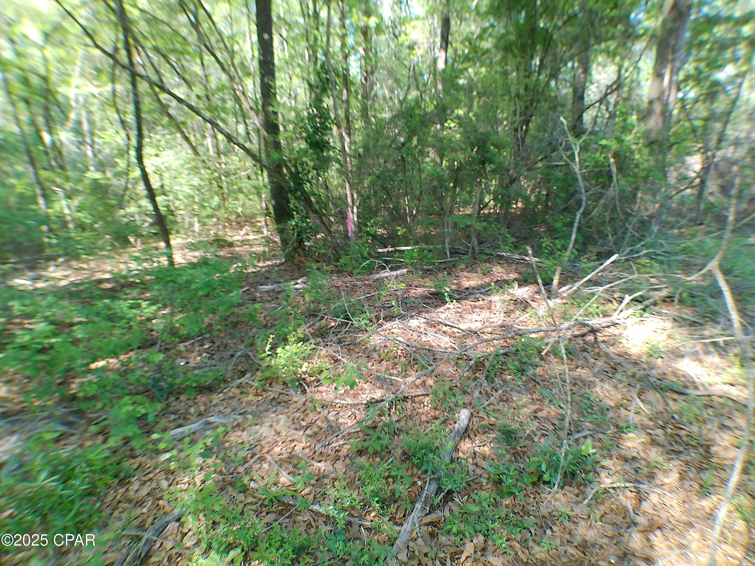 Property Photo:  00 Christian Life Road 17.25  FL 32433 