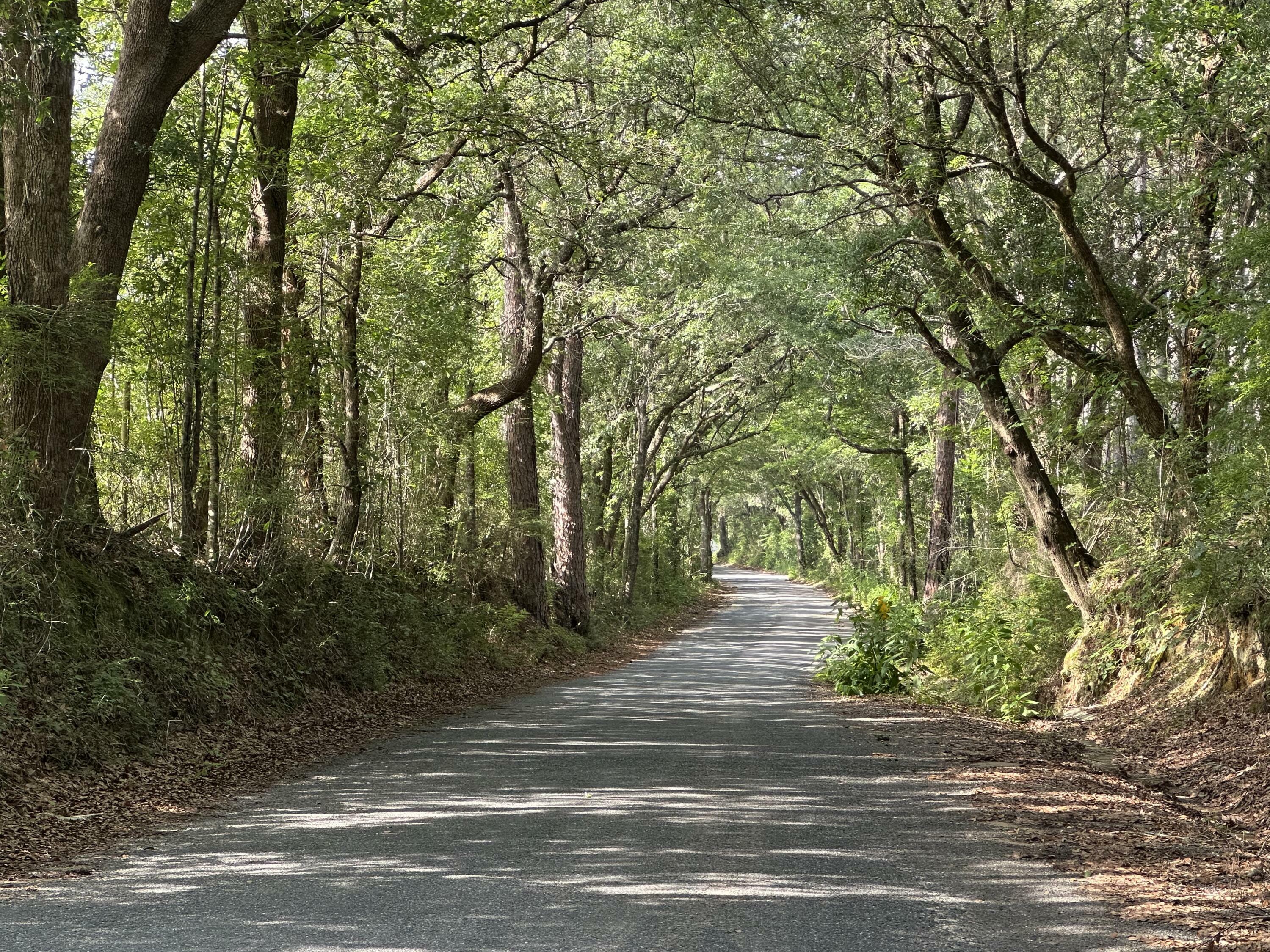 228+/- Ac Old River Road  Baker FL 32531 photo