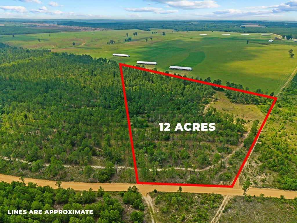 Property Photo:  12 Ac Liberty Road  GA 31058 