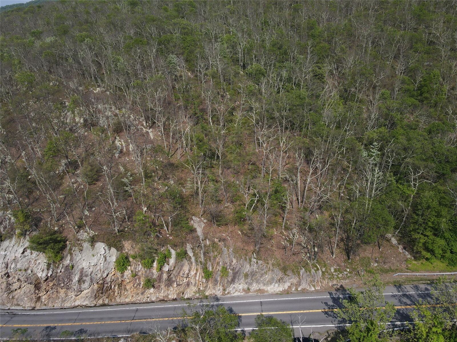 Property Photo: Route 52 NY 12489