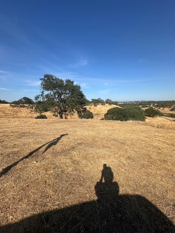 Property Photo:  75 Cormorant Drive  CA 95254 