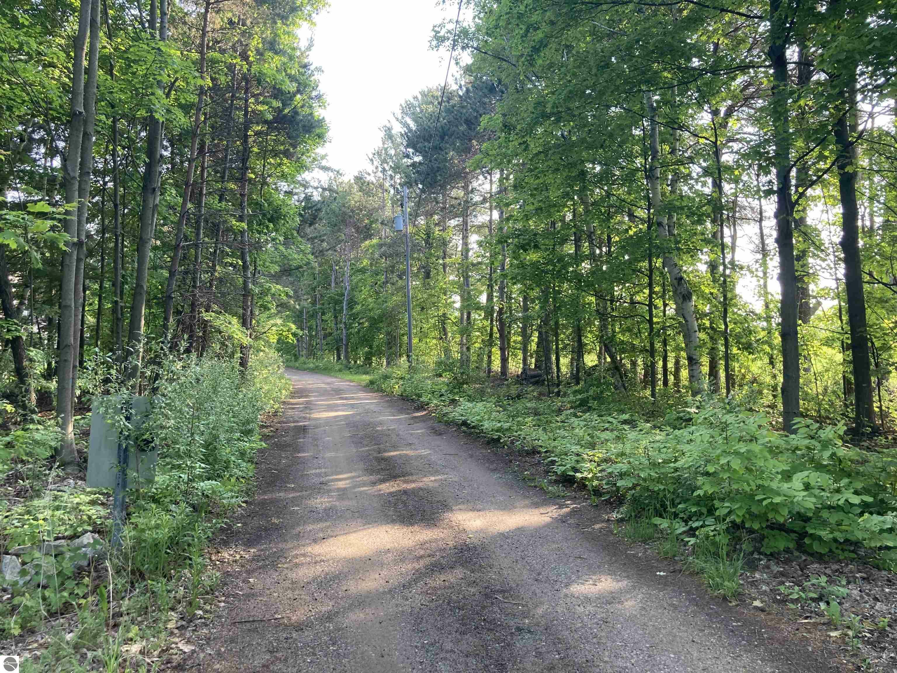 Property Photo: 15615 Upper Birch Drive MI 49686