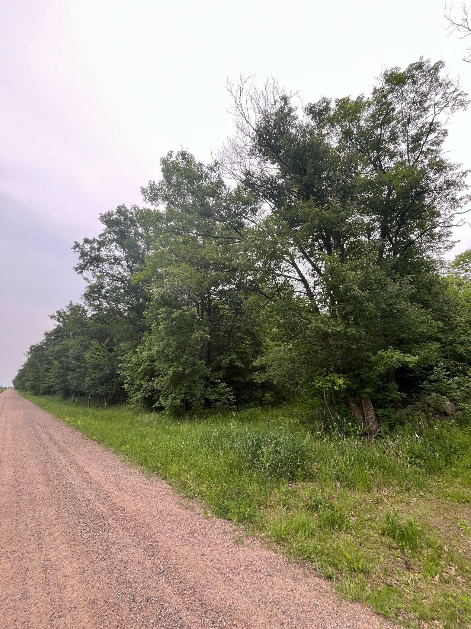 Property Photo: Xxx Thesing Road MN 56401