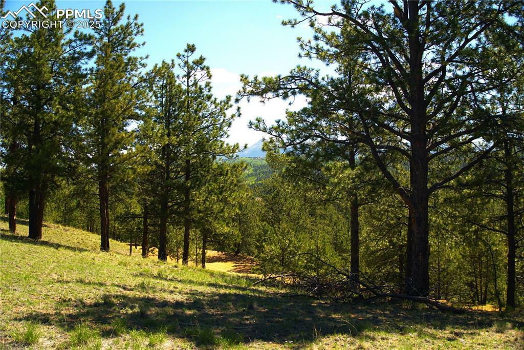 Property Photo: 29 Dexter Circle CO 80813