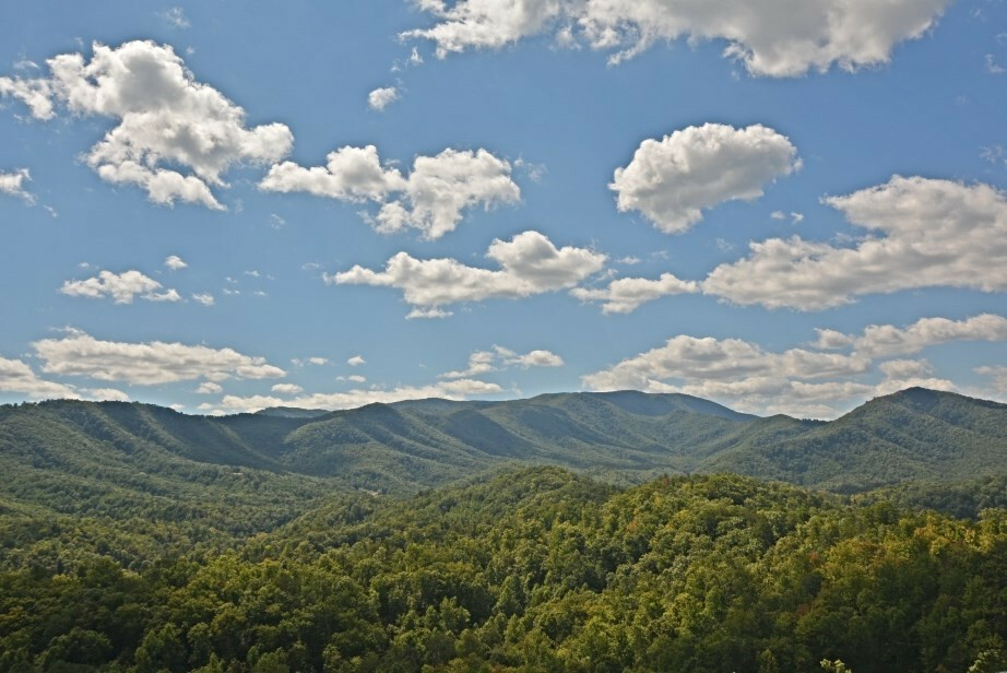 Property Photo: 4829 Highland Pl Way TN 37863