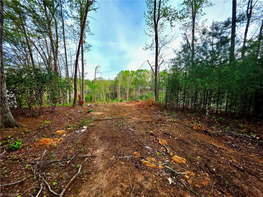 Property Photo:  Tbd Ruritan Park Road  NC 28659 