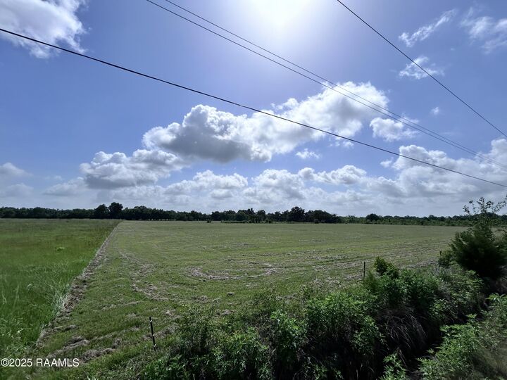 Property Photo:  Tbd Sonnier Road 3-B  LA 70525 