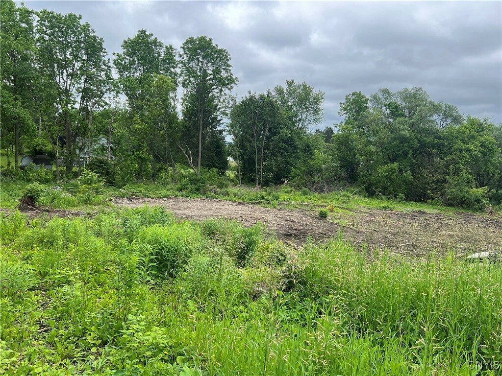 Property Photo: Franklin Street NY 13077