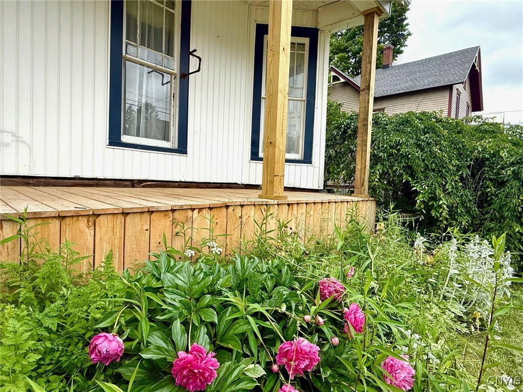 Property Photo: 19 Elm Avenue NY 13077