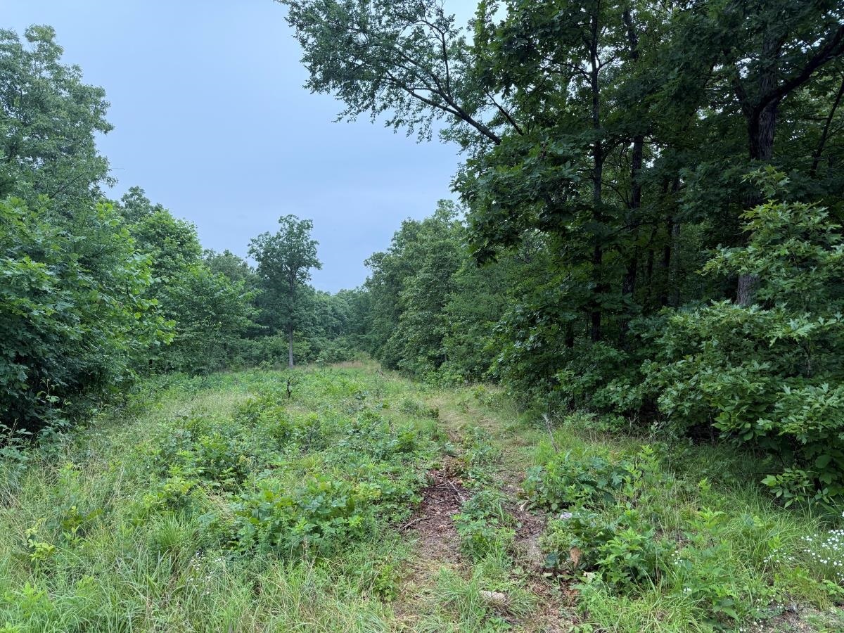 Property Photo: 00 Browns Creek Road AR 72459