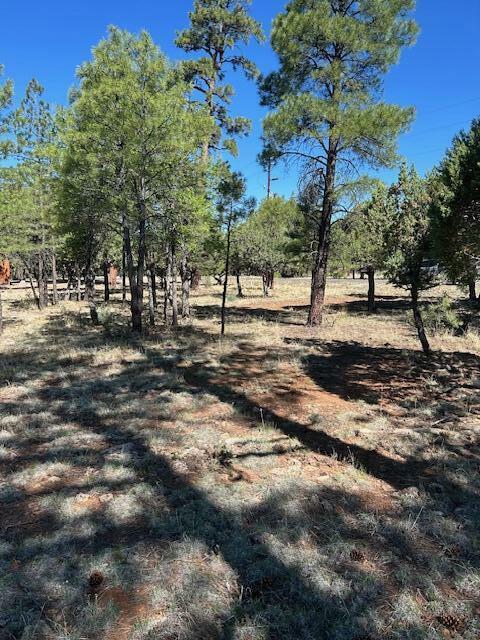 Property Photo: 4677 Starlight Drive AZ 86024