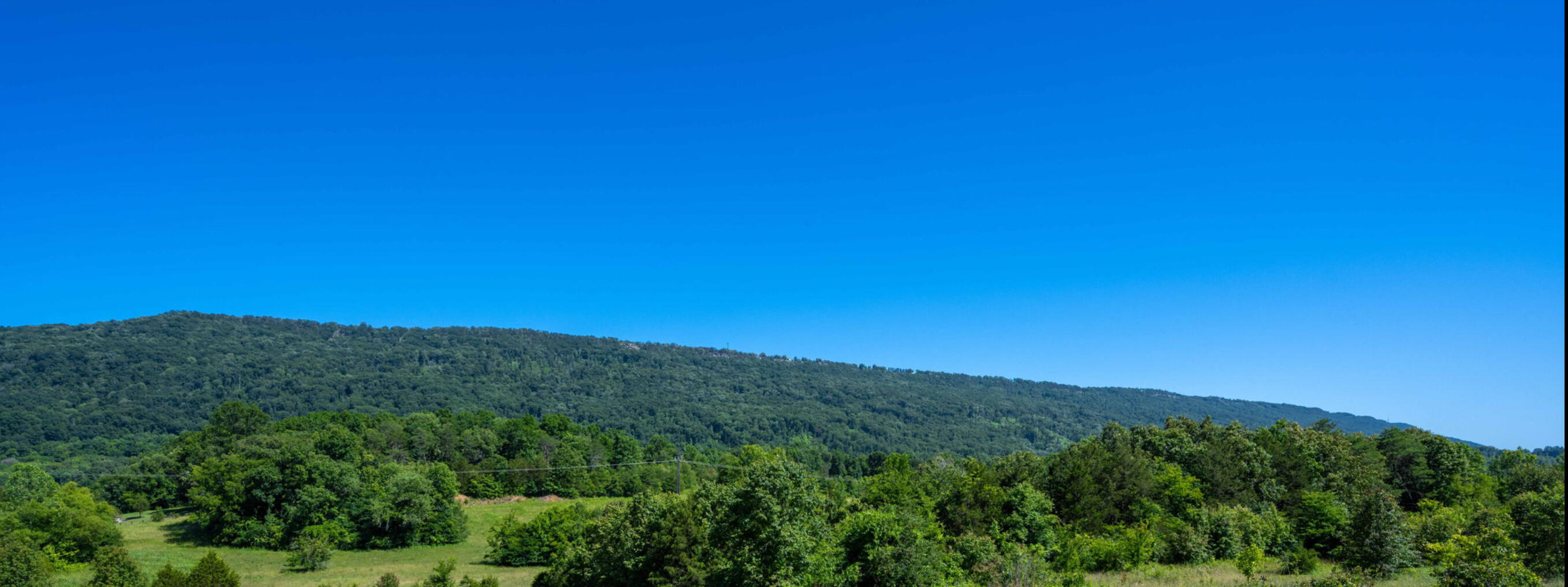 Property Photo: 738 Sells Lane GA 30752
