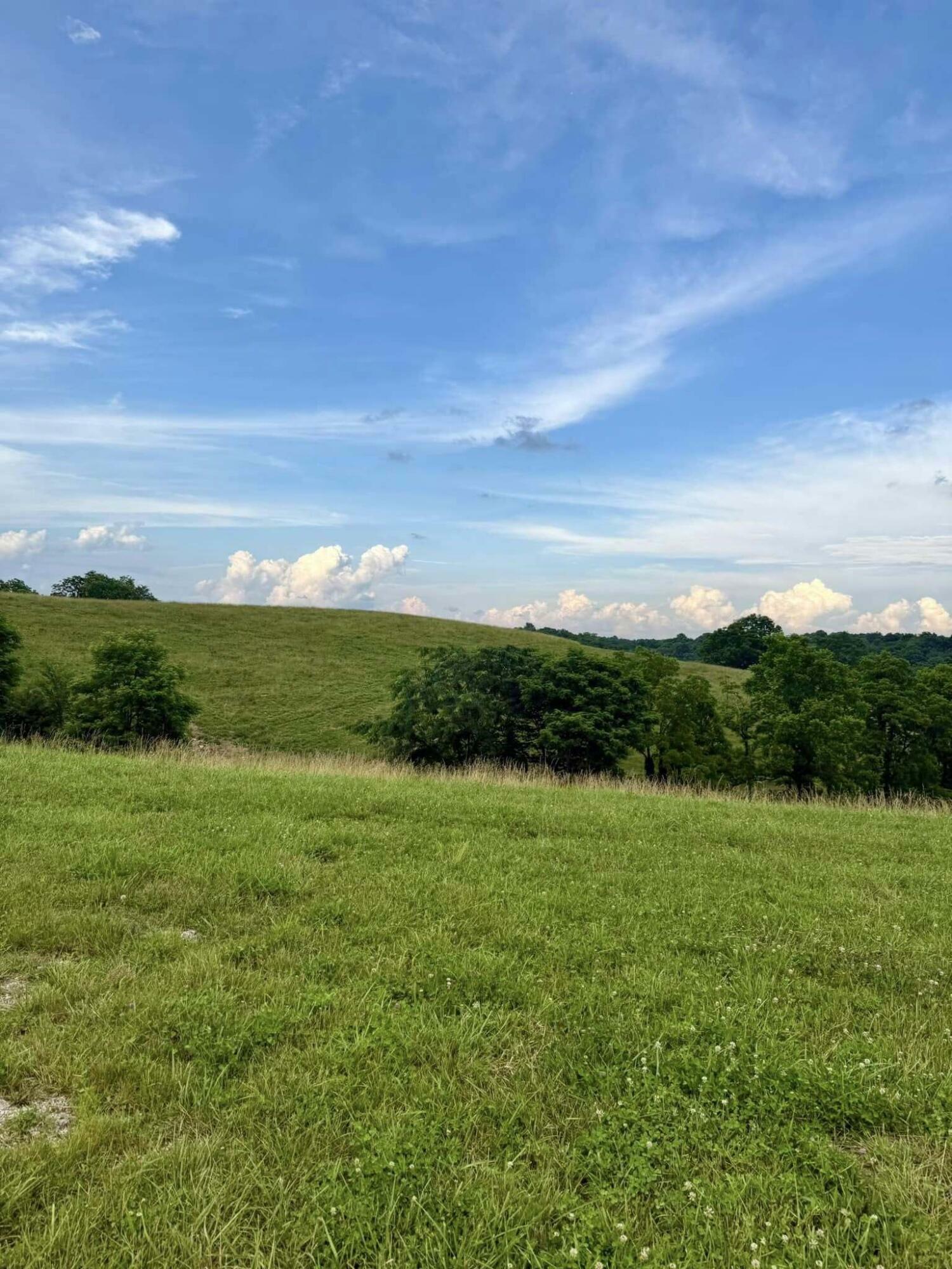 Property Photo: 159 Westwoods Drive KY 40324