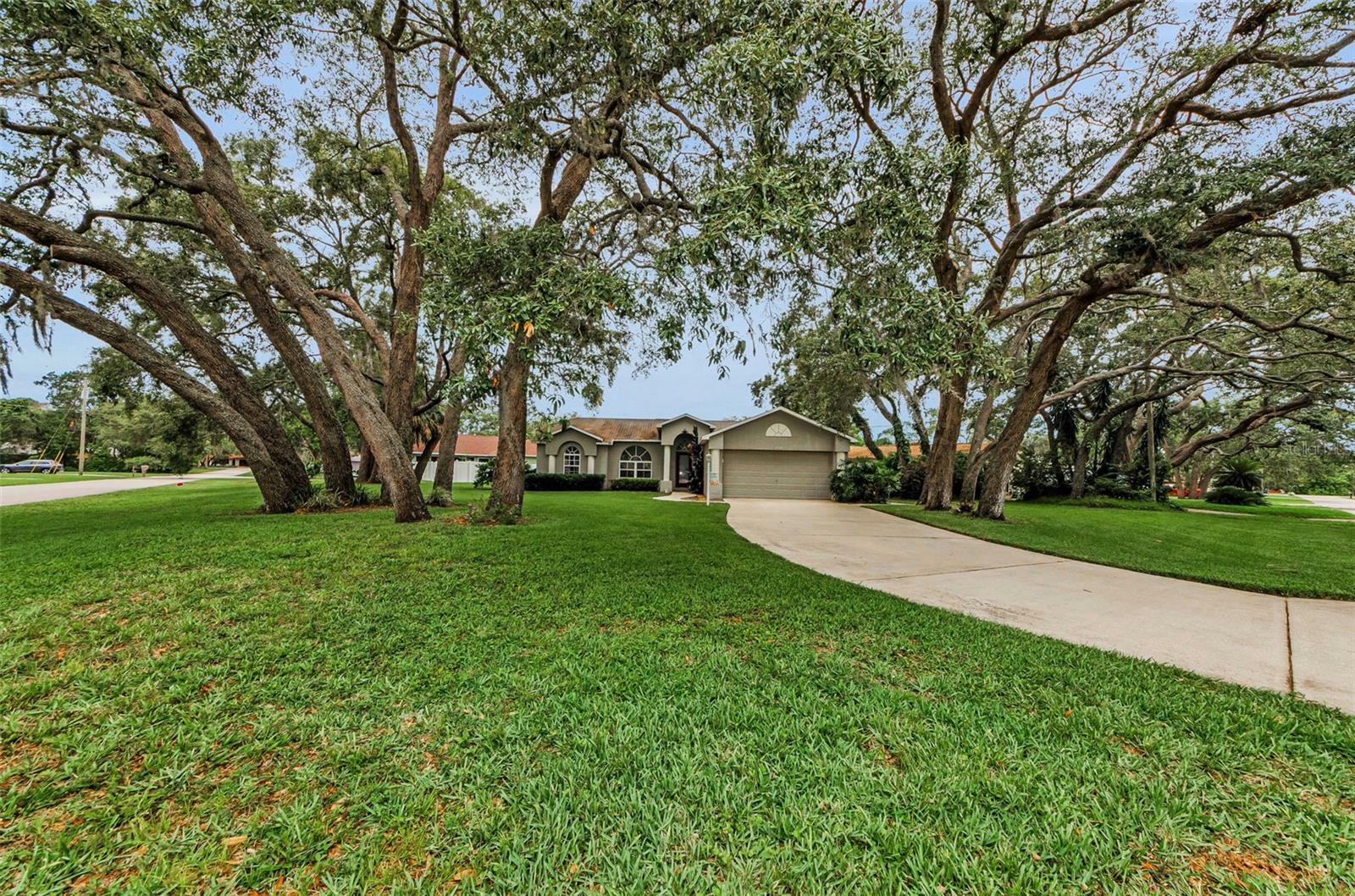 Property Photo: 8060 Timberlake Avenue FL 34606