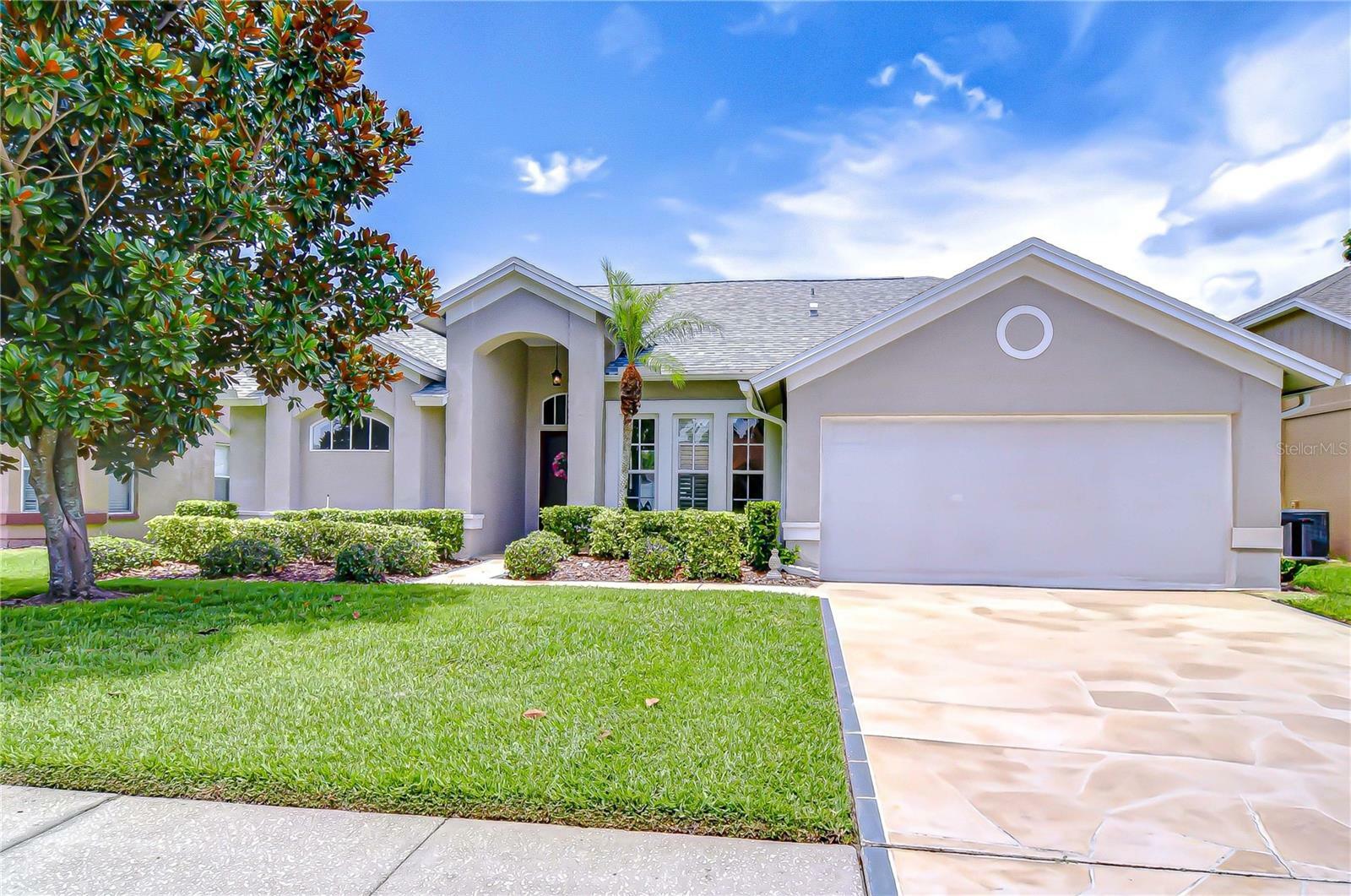 13602 Fawn Ridge Boulevard  Tampa FL 33626 photo